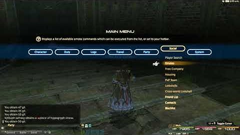 Bot Hacker using party finder system - FFXIV ARR