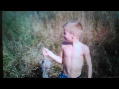 gauge-key-rabbit-video