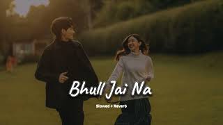 Bhull Jai Na (slowed + reverb)- Sharry Maan | new Punjabi song 2024 | KL Lofi