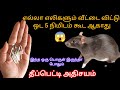      5   kitchen tips tamilhow to get rid of mouse