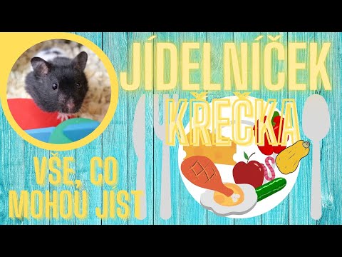 Video: Můžou křečci jíst celer?