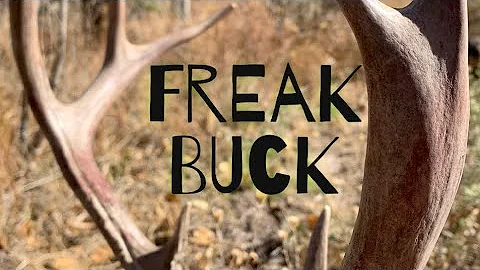 UTAH GENERAL SEASON MULE DEER HUNT 2020: MATURITY SERIES