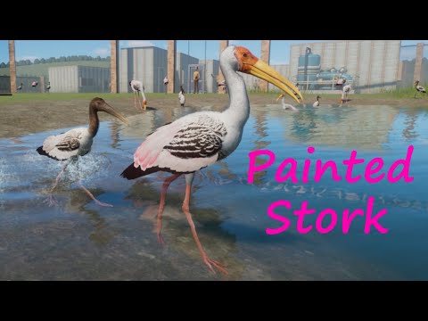 Painted Stork by Monsoon - Planet Zoo Mod - YouTube