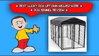 Best Lucky Dog Uptown Welded Wire Dog Kennel Review