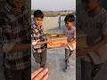 Chalak bache 😱 #pigeon #kabutar #minivlogs