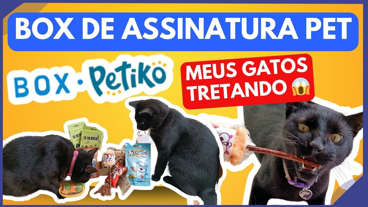 BOX de ASSINATURA pra GATO E CACHORRO - Box PETIKO [🏷️ CUPOM GUIECIA30 ]