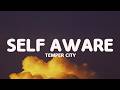 Temper City Self Aware Lyrics 