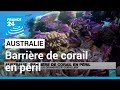 Australie  barrire de corail en pril lunesco au chevet du plus grand rcif corallien