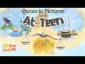 Quran For Kids | Surat At-Teen| Quran in Pictures | سورة التين  ☀️ MiniMuslims