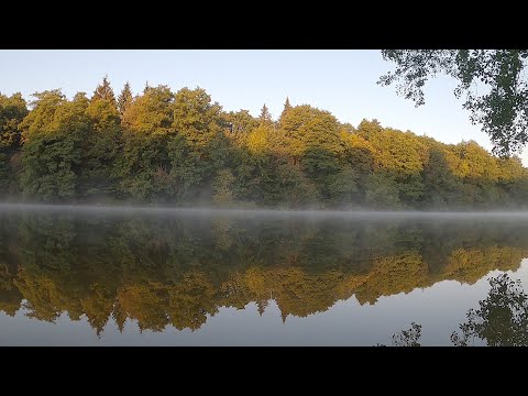 Рыбалка на р. Южный Буг. Ловля на фидер . Оснастка Арбуз тащит рыбалку.