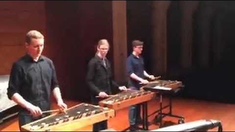 Drumming - Steve Reich (excerpt)