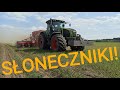 Siejemy SŁONECZNIKI w Strip Tillu! Dlaczego przesiewam pszenżyto? VLOG 299 - Rolnik Nieprofesjonalny