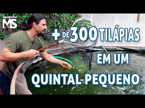 Mais de 300