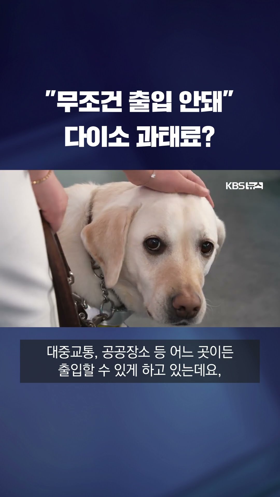 시각장애인 안내견 출입 막은 다이소 논란 #shorts / KBS