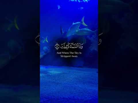 تلاوة خاشعة لآيات من كتاب الله القرآن الكريم الله اكسبلور  راحة نفسية 