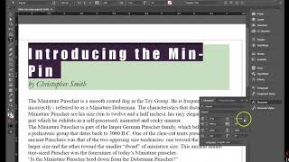 chapter 2 part 1 InDesign
