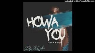 Deejay ZebraSA - Howa You (uBuZonKonKo Remix)