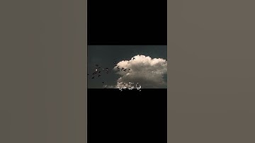 فِي جَنَّةٍ عَالِيَةٍ ،لَا تَسْمَعُ فِيهَا لَاغِيَةً ||تلاوة مريحة بصوت القارئ عبد الرحمن مسعد 🌿💗