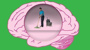 How Does Your Brain Clean Itself?