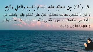 الصحيفة السجادية رقم 5- وكَانَ مِنْ دُعَائِهِ عَلَيْهِ السَّلَامُ لِنَفْسِهِ ولِأَهْلِ وَلَايَتِهِ