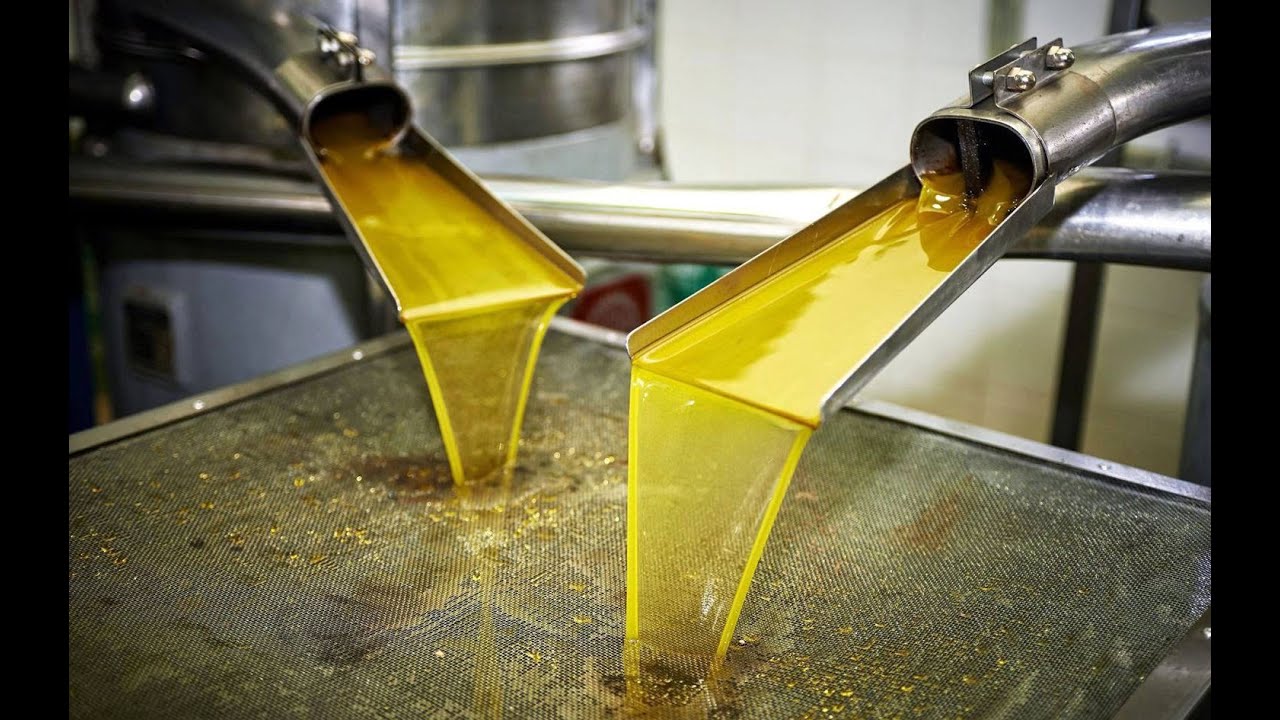 كيف رفعت إسبانيا أسعار زيت الزيتون في إدلب وحلب؟ | لم الشمل