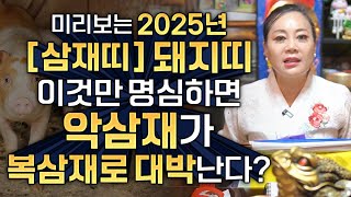 ✨미리보는 2025년 삼재띠 돼지띠운세✨2024년 하반기 돼지띠가 이것만 조심하면 복삼재로 금전운 대박난다 …