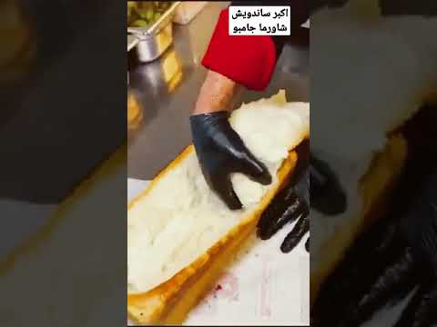 اكبر ساندويش شاورما جامبو 