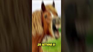 🐴🤪 #shorts #short #мемы #лошадка #игого #смешноевидео #угарныевидео #приколы #смех