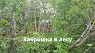 Заброшка в лесу