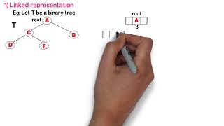 Class 12th Computer Science - I : Chapter 2 | Binary Tree Part 4 | Representation of binary tree