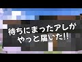 待ちに待ったアレが届いた瞬間歓喜した