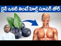 10 proven health benefits of blueberries  mind power increase  dr manthena satyanarayana raju