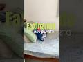 Faxinando meu quarto