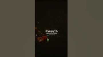 #ياسر_الدوسري #سورة_الشعراء #قرآن #لايك #قران_كريم #quran #islamicvideo #explore