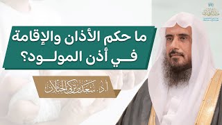 ما حكم الأذان والإقامة في أذن المولود؟