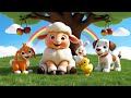 Baa Baa Black Sheep рџђ Fun Baby Sheep Song For Kids Zipps Stories Nursery Rhymes Kidssongs Baa Baa Black Sheep рџђ Fun Baby Sheep Song For Kids Zipps Stories Nursery Rhymes Kidssongs