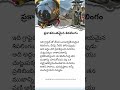 Deep Dive into Mysterious Texts|Decoding Ancient or Poetic Phrases