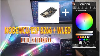 LED STROBO BUS WIFI , WLED + ESP 8266 screenshot 4