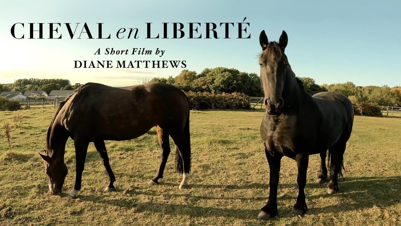 Cheval En Liberté - Short Film Inspired by Terrence Malick