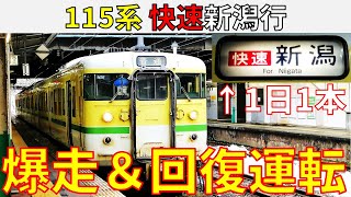 【全国ツアー】長岡～新潟を最速で結ぶ"115系の快速"に乗ってみた！