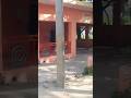 भोलेनाथ की जय || वीडियो बनाना हमारा काम है ||#trending #viral #travel#easy #youtubeshorts#ytshorts