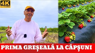 🍓 زراعة الفراولة: الخطأ الأول الذي لا ينبغي ارتكابه! 🍓 screenshot 3