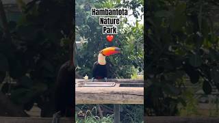 Hambantota nature park ❤️ #travelshorts #hambantota #travel
