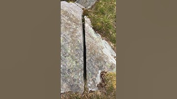 Thumbnail of The Humours of Tuamgraney (Hornpipe) Ador
