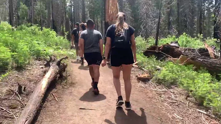 Carlon Falls Trail...near Yosemite National Park (...