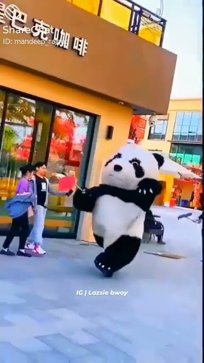 # Funny video # Cute Panda Running 😂😂
