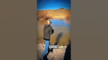 MP5 vs Uzi : Which is the more powerful submachine gun?