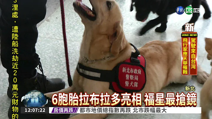 缉毒犬萌翻了 "福星"人气旺 - 天天要闻