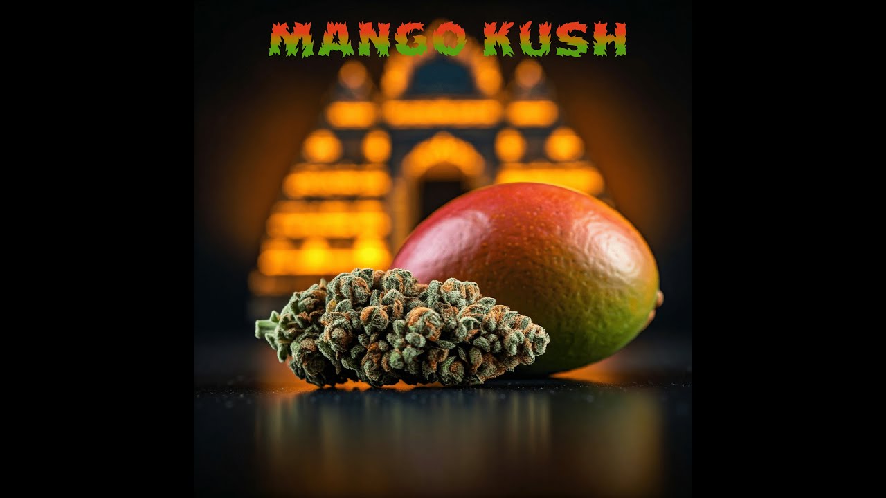 Strain Review: Aleph amber 26/1 Mango Kush