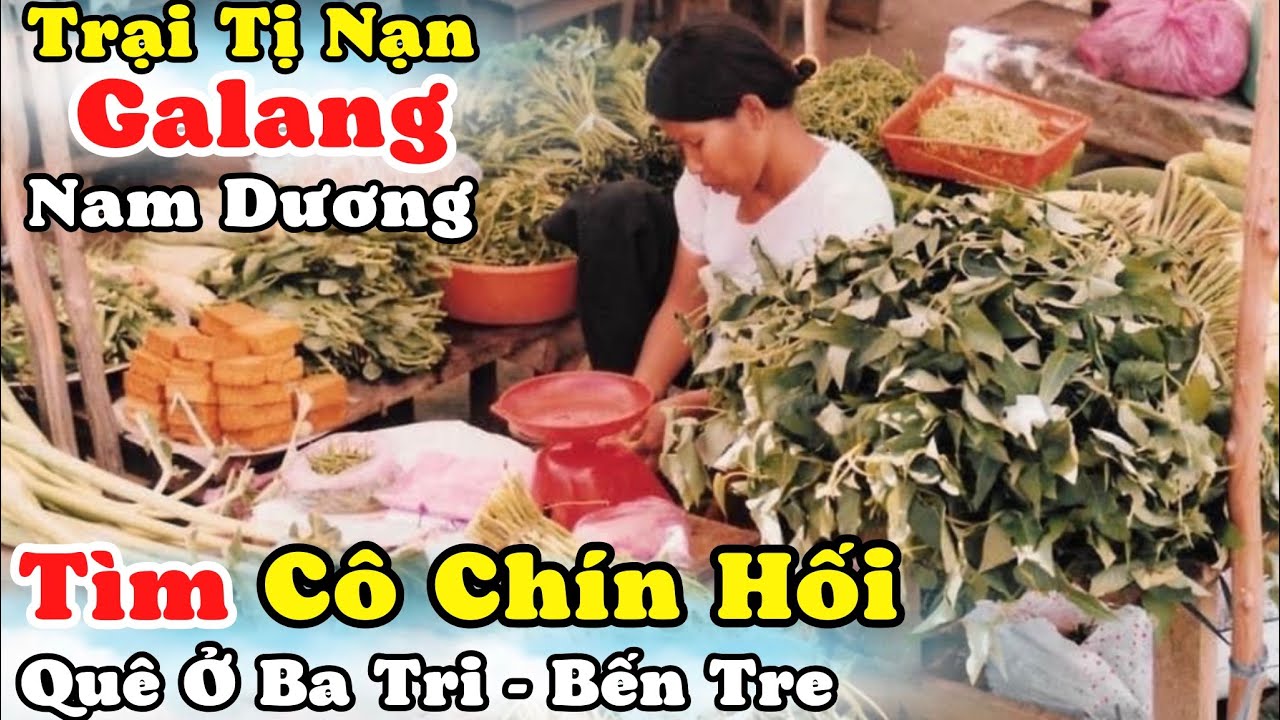 В поисках миссис Чин Хой, родного города Бен Тре, благодетельницы канадской девочки, когда она бы...